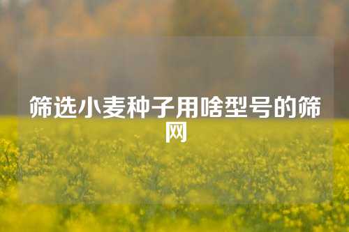 筛选小麦种子用啥型号的筛网