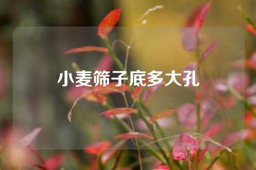 小麦筛子底多大孔