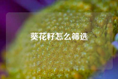 葵花籽怎么筛选