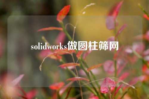 solidworks做圆柱筛网