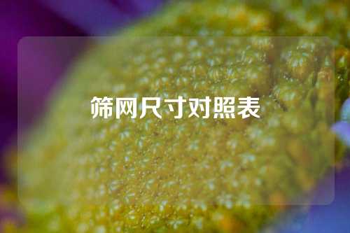 筛网尺寸对照表