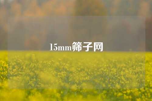 15mm筛子网