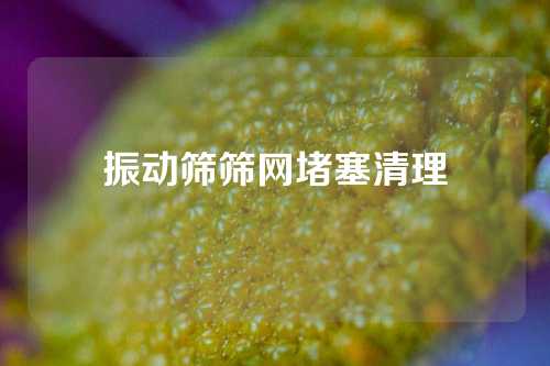 振动筛筛网堵塞清理