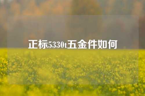 正标5330t五金件如何