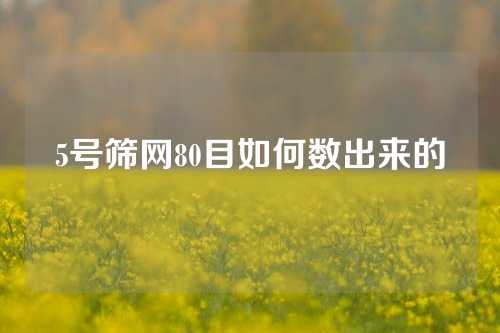 5号筛网80目如何数出来的