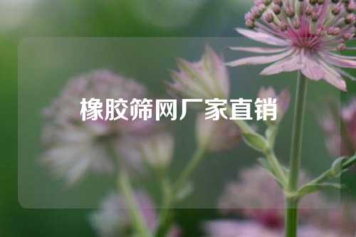 橡胶筛网厂家直销