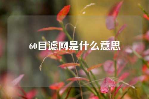 60目滤网是什么意思