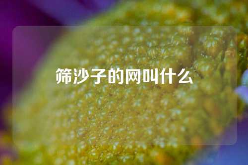 筛沙子的网叫什么