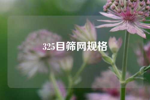 325目筛网规格