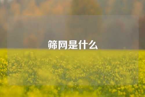 筛网是什么