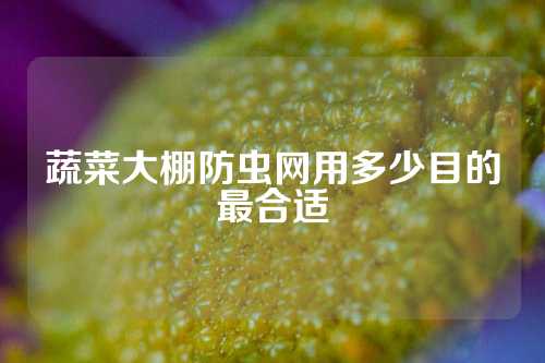 蔬菜大棚防虫网用多少目的最合适