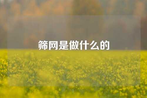 筛网是做什么的