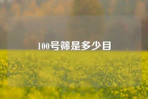 100号筛是多少目