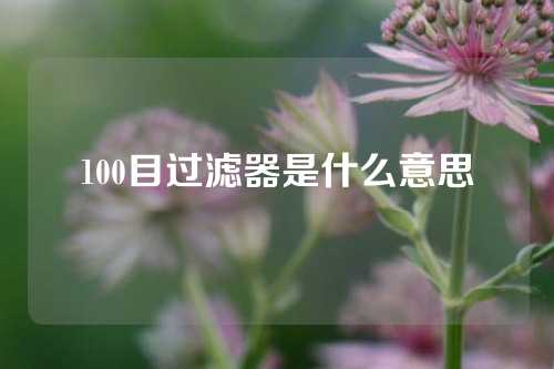 100目过滤器是什么意思