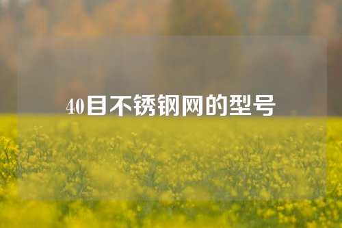 40目不锈钢网的型号