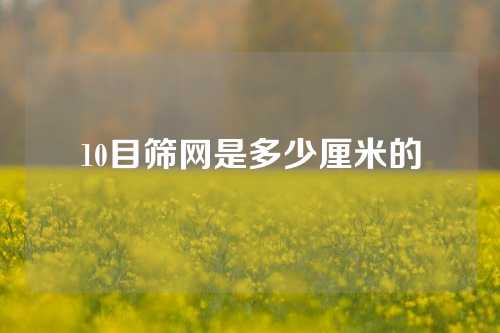 10目筛网是多少厘米的