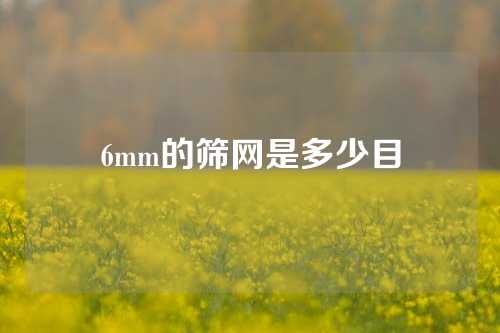 6mm的筛网是多少目