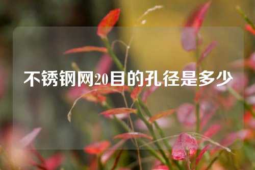 不锈钢网20目的孔径是多少