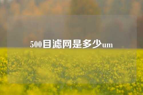 500目滤网是多少um