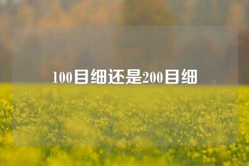 100目细还是200目细