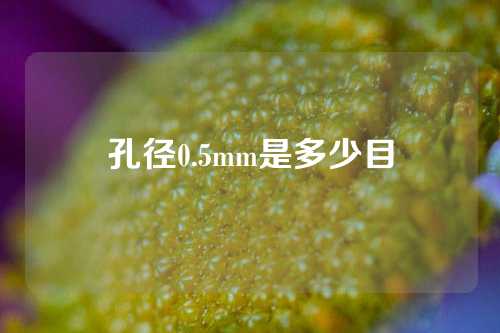 孔径0.5mm是多少目