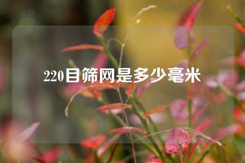 220目筛网是多少毫米