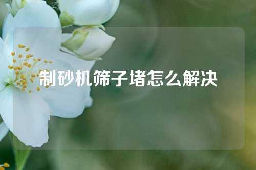 制砂机筛子堵怎么解决