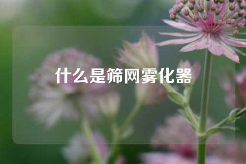 什么是筛网雾化器