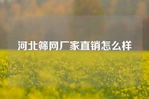 河北筛网厂家直销怎么样