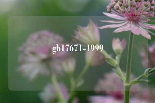 gb17671-1999