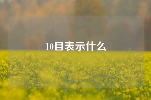 10目表示什么