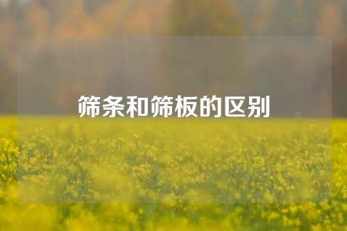 筛条和筛板的区别