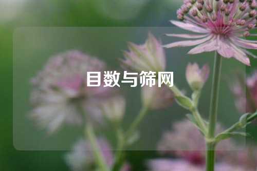 目数与筛网