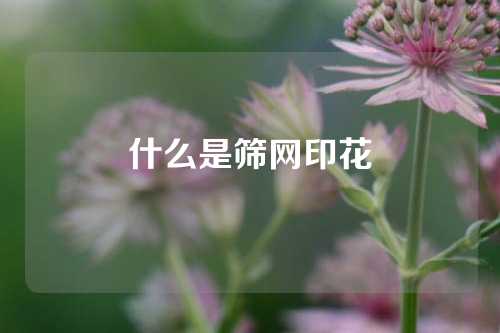 什么是筛网印花