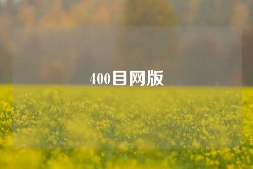 400目网版