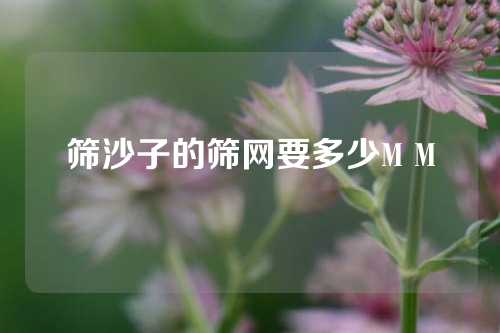 筛沙子的筛网要多少M M