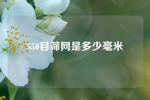 550目筛网是多少毫米