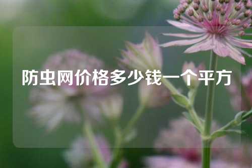 防虫网价格多少钱一个平方