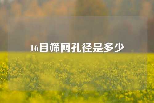 16目筛网孔径是多少