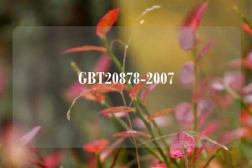 GBT20878-2007