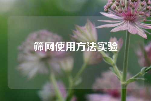 筛网使用方法实验