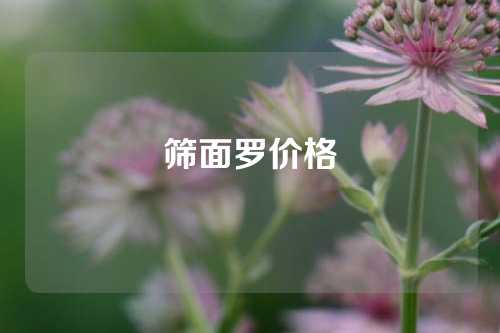 筛面罗价格