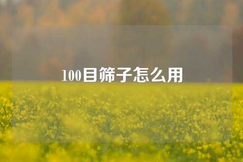 100目筛子怎么用