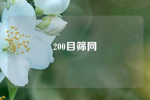 200目筛网