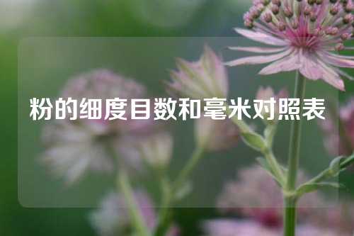 粉的细度目数和毫米对照表