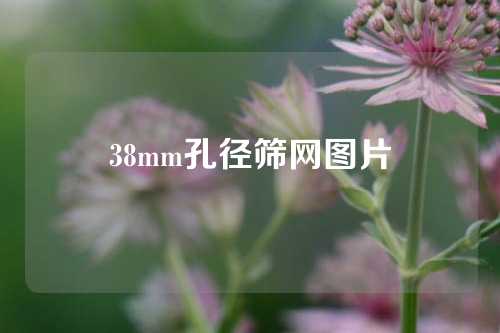 38mm孔径筛网图片