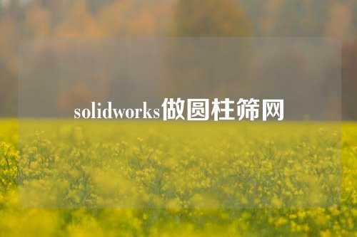 solidworks做圆柱筛网