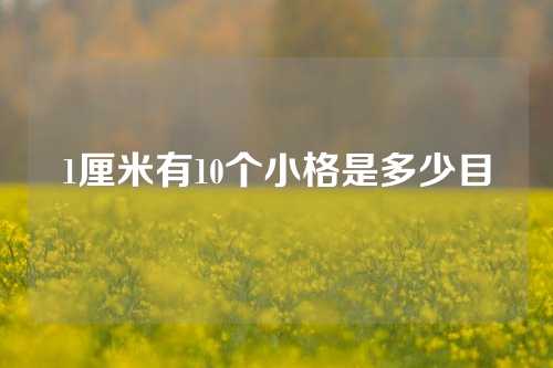 1厘米有10个小格是多少目