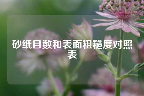 砂纸目数和表面粗糙度对照表