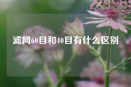 滤网60目和40目有什么区别